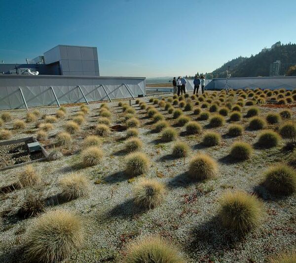 Socioecological Movements in Urban Ecosystems (MOVE)