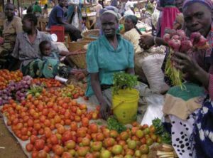 Urban Food Security Series No 1: The Invisible Crisis: Urban Food Security in Southern Africa
