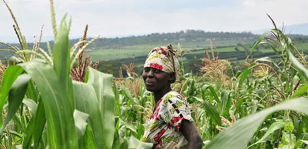 Food Security