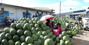 Watermelon trade.