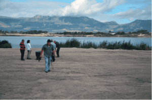 Narrative and value articulation of contested green spaces in Cape Town, New York and London