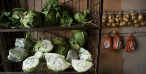 Fruit and vegetable trader. Photo by Sam Reinders