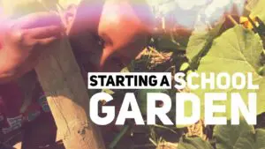 Follow Nourishing Spaces on YouTube