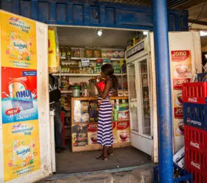 ‘Fake food’ in South Africa: myths, misinformation and not enough data