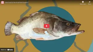 How local is the local food system?