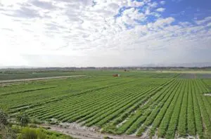 IN THE PRESS: Experts: SONA, budget speech suggest food security low on national agenda