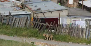 A systematised review of the health impact of urban informal settlements and implications for upgrading interventions in South Africa
