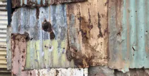 Present and Visible: Napier Settlement and its Stories