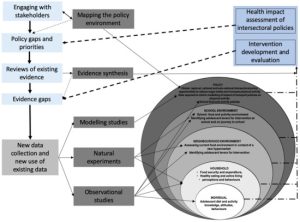 Protocol for a Multi-Level Policy Analysis of Non-Communicable Disease Determinants of Diet and Physical Activity: Implications for Low- and Middle-Income Countries in Africa and the Caribbean