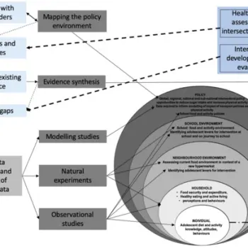 Protocol for a Multi-Level Policy Analysis of Non-Communicable Disease Determinants of Diet and Physical Activity: Implications for Low- and Middle-Income Countries in Africa and the Caribbean