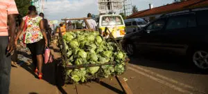 Policy Brief: Urban Food Security in Kisumu in light of COVID19