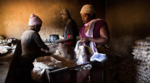 Rethinking training: the role of the informal sector in skills acquisition and development in Zimbabwe