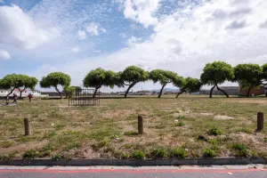 Urban Green Spaces Brief: AMALI Good Practice Case Study