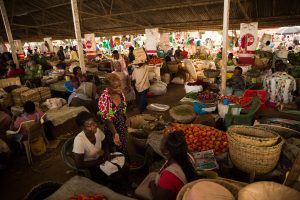 Planning for Resilient, Nourishing, and Generative African Urban Landscapes