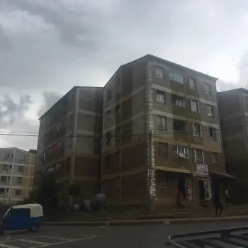 Infrastructure governance in the post-networked city: State-led, high-tech sanitation in Addis Ababa’s condominium housing