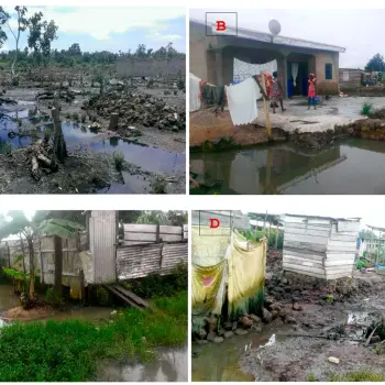Urbanization and Health Inequity in Sub-Saharan Africa: Examining Public Health and Environmental Crises in Douala, Cameroon